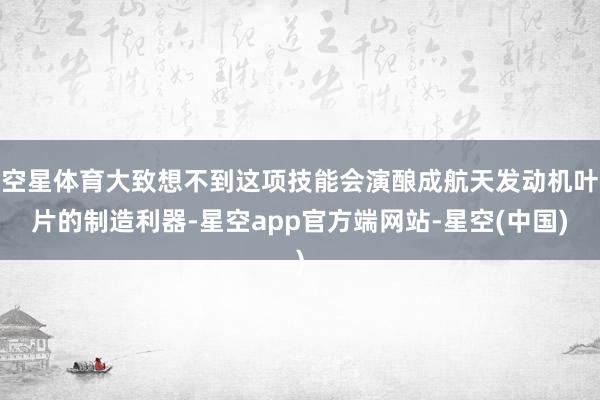 空星体育大致想不到这项技能会演酿成航天发动机叶片的制造利器-星空app官方端网站-星空(中国)